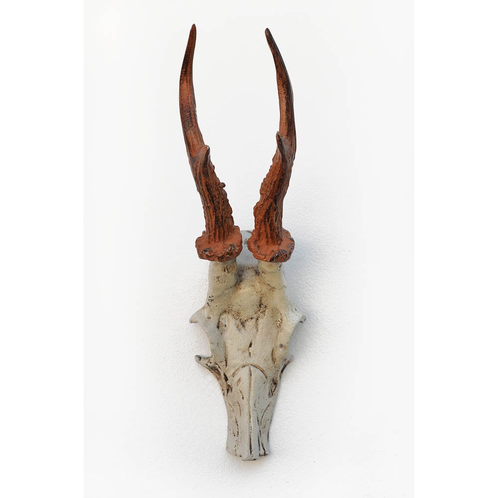 HAB & GUT DH009 Garderobenhaken Hirschgeweih Gusseisen