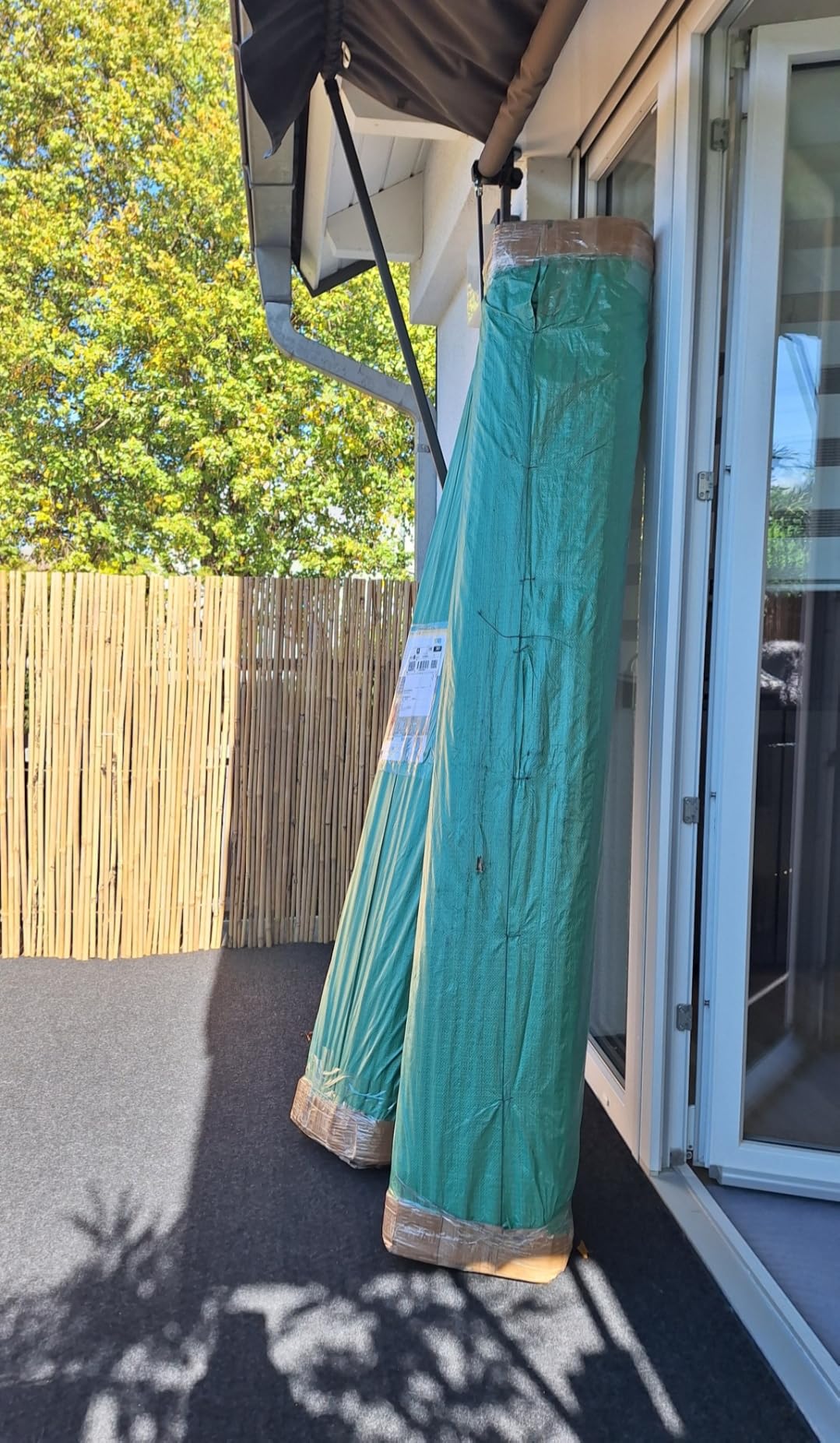 Sol Royal B38 Sichtschutzmatte 100x250 cm Bambus