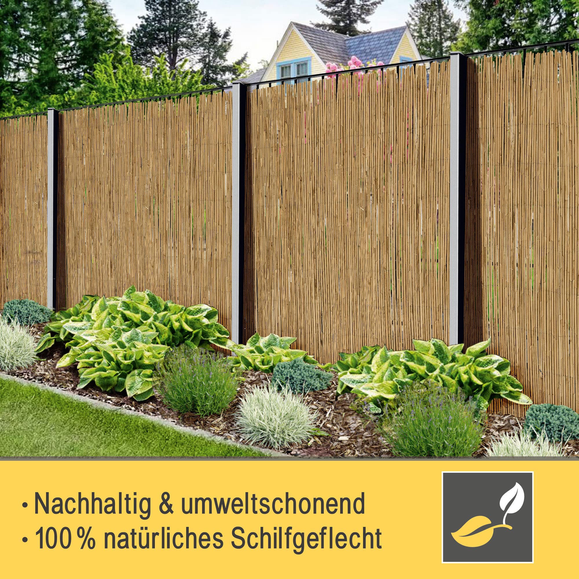 Sol Royal S36 Schilfmatte 140x600 cm natur