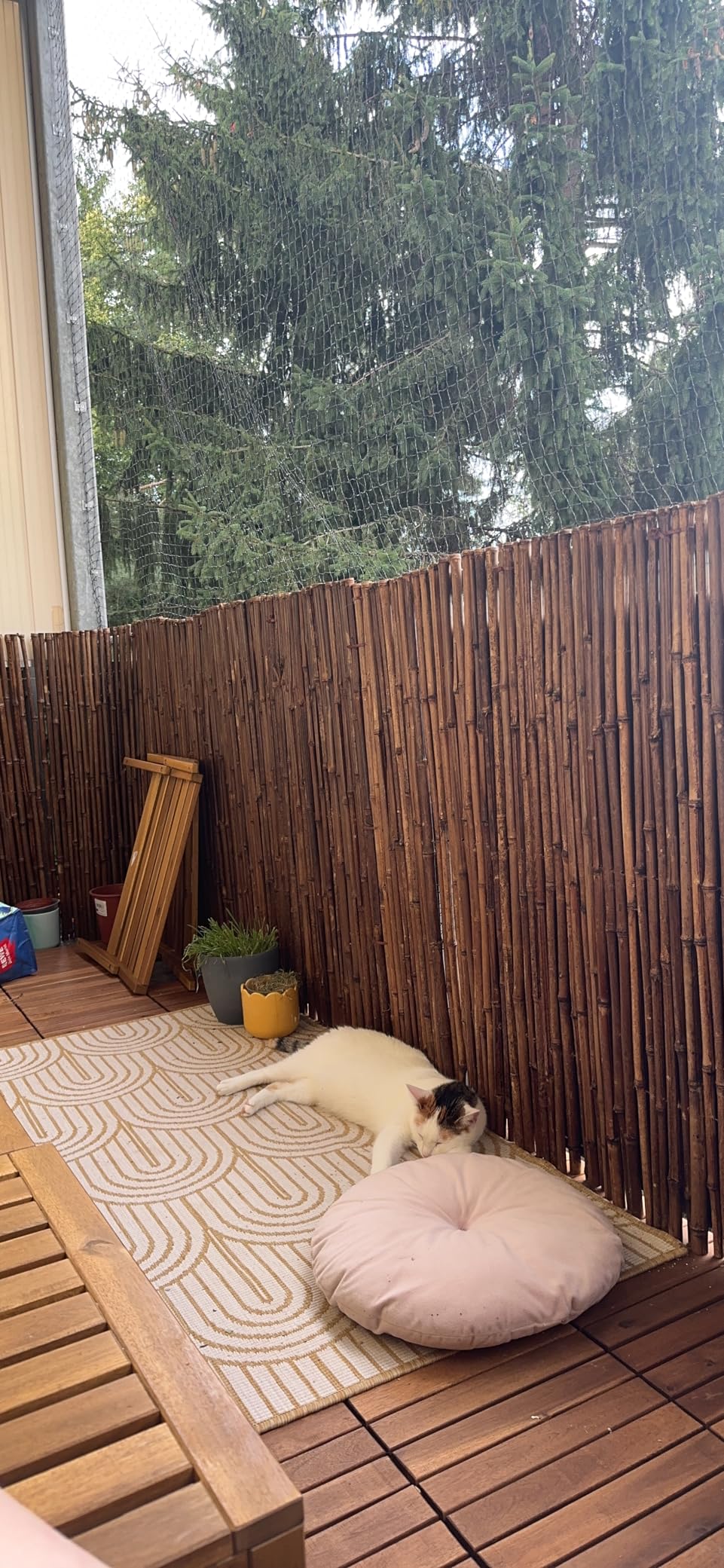 Sol Royal B23 Bambus Sichtschutzzaun 150x250 cm dunkelbraun witterungsbeständig