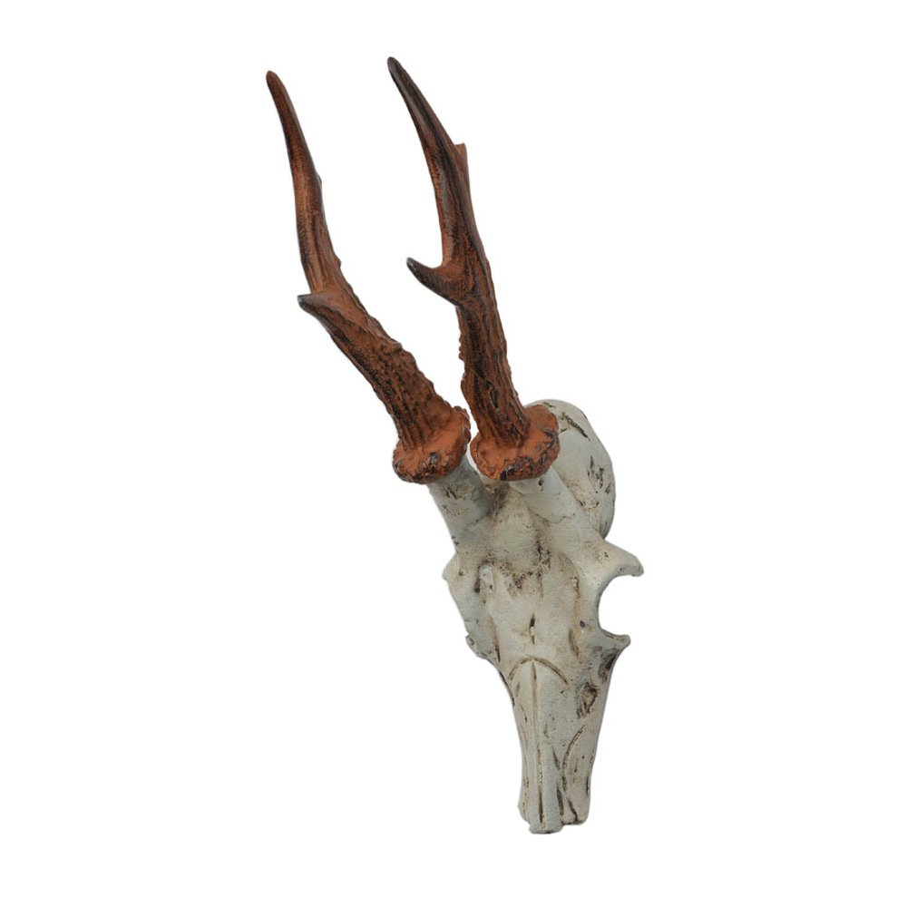 HAB & GUT DH009 Garderobenhaken Hirschgeweih Gusseisen