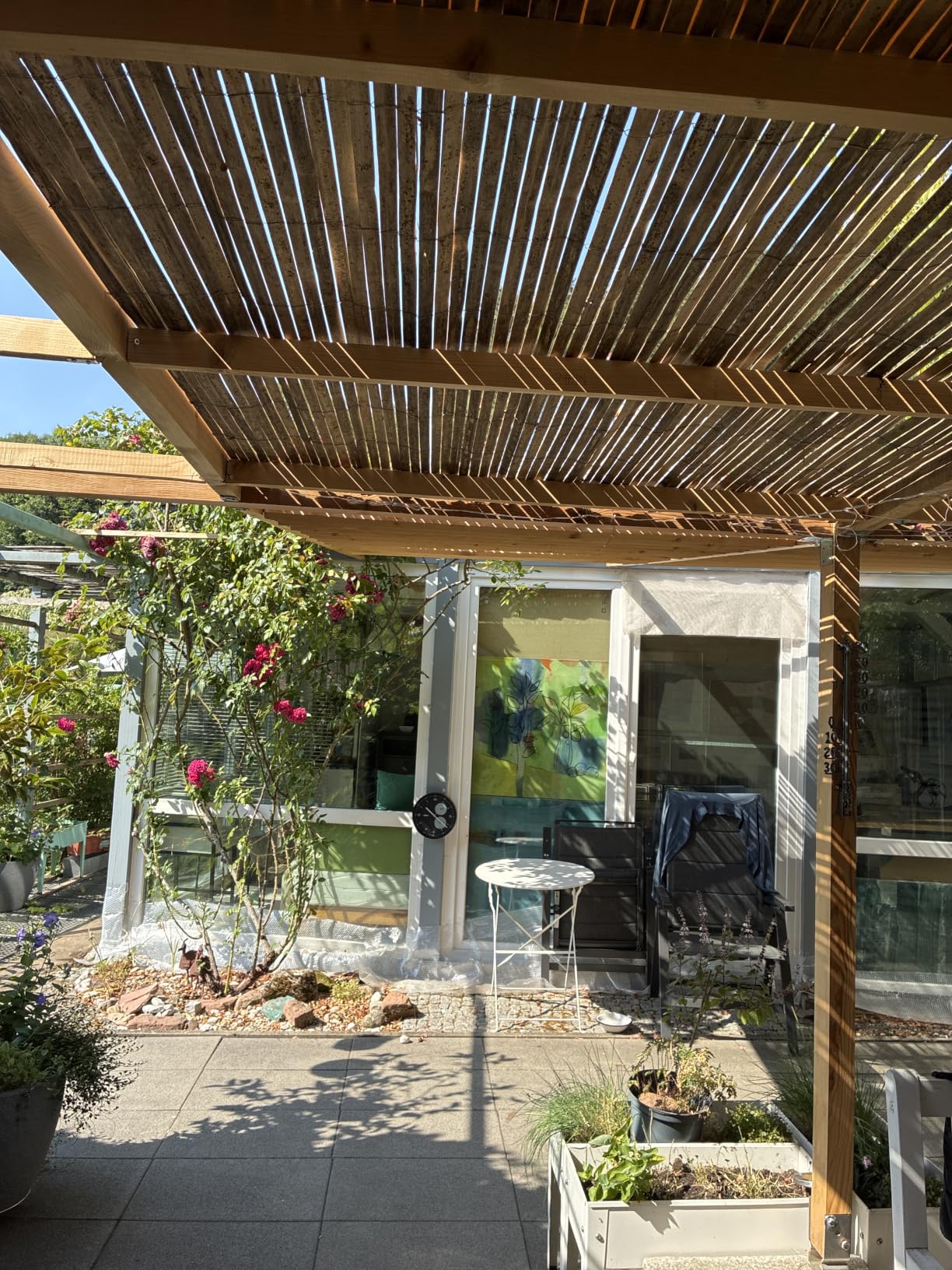 Sol Royal SolVision B89 Bambusmatte 160x600 Natur Sichtschutz