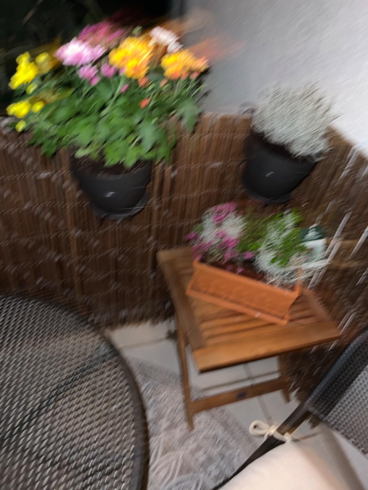 Sol Royal W79 Weidenmatte 300x90 cm Naturweide