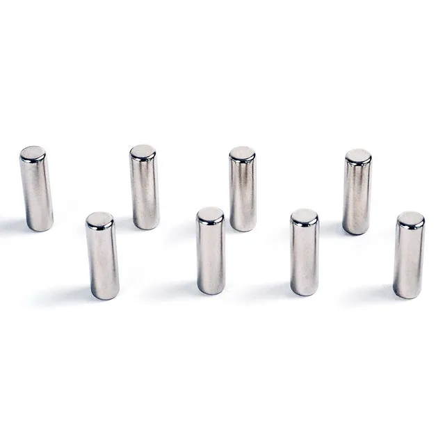 HAB & GUT MC000-P Magnet-Pin 8x 6x13mm Neodym