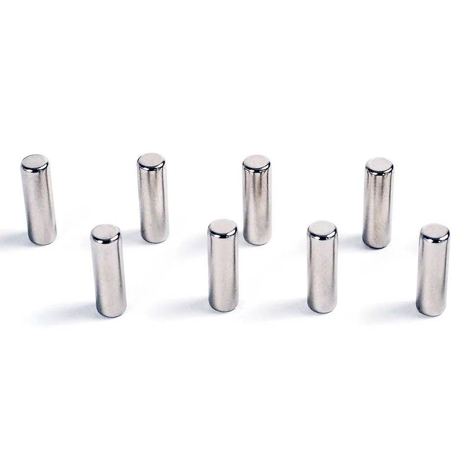 HAB & GUT MC000-P Magnet-Pin 8x 6x13mm Neodym