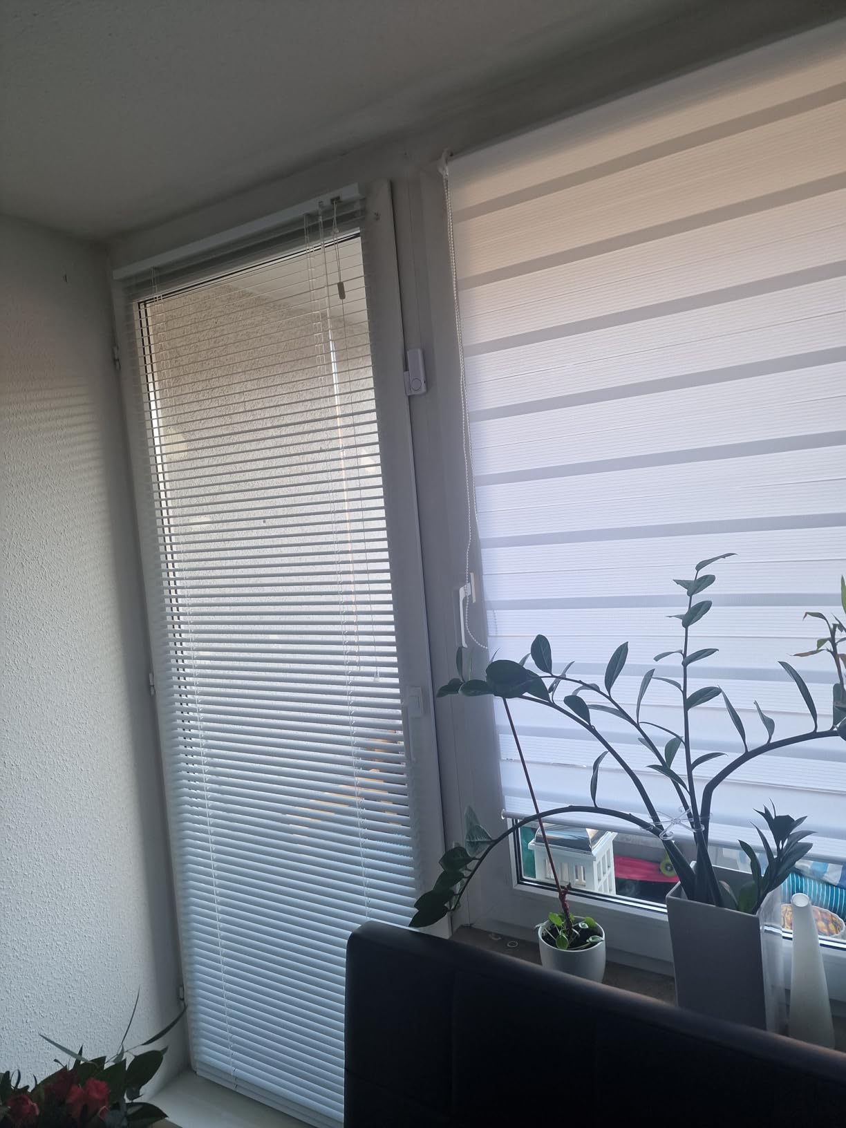 Sol Royal Alu Jalousie 25mm B80x175 Weiß Glänzend zum Klemmen