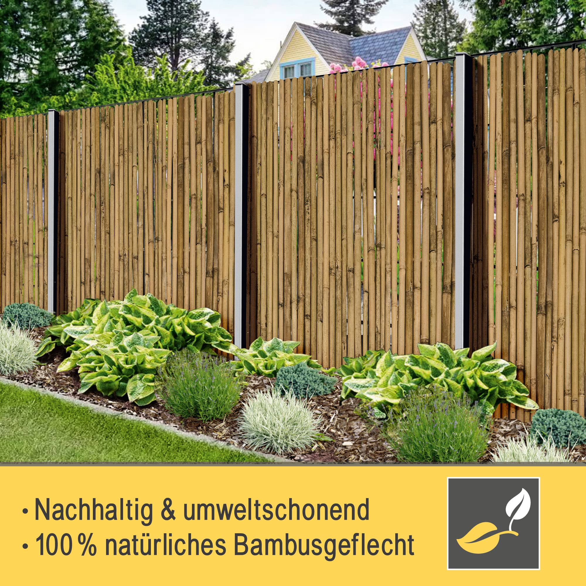 Sol Royal B38 Sichtschutzmatte 100x250 cm Bambus