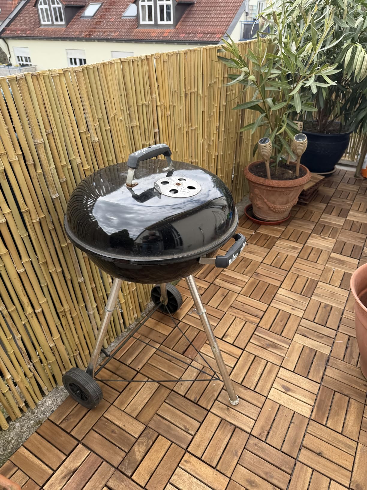 Sol Royal B99 Bambus Sichtschutz 100x250 hell natur