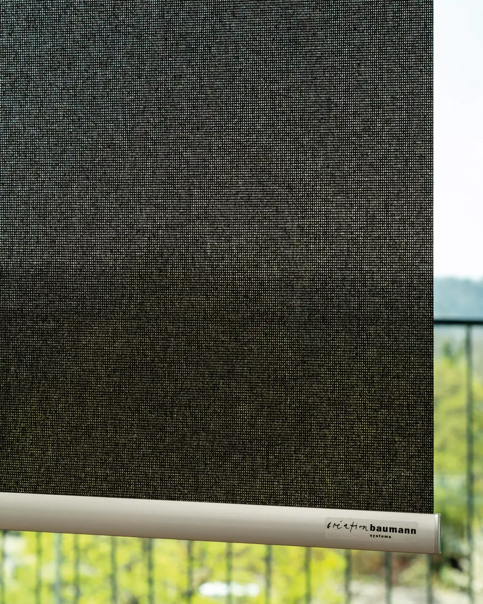 Création Baumann Screlan R Rollostoff Screen