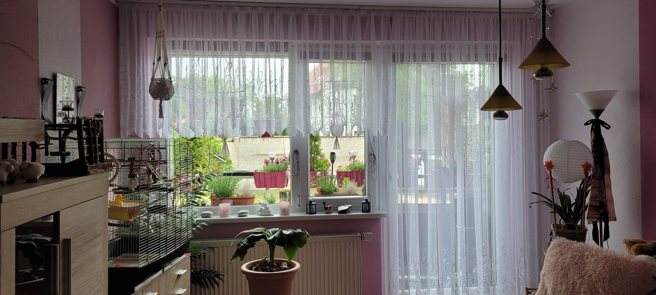 heimtexland Jacquardstore Gardine 100x450 weiß transparent