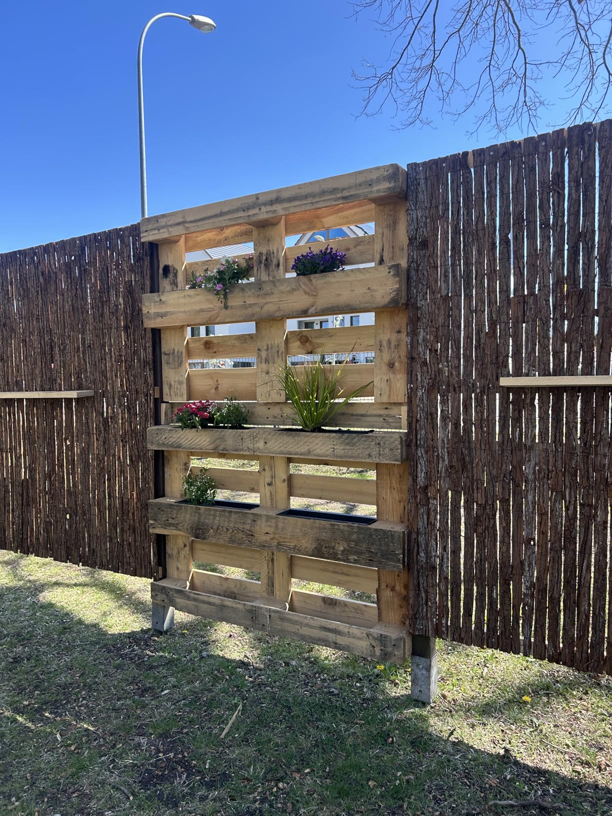 Sol Royal SolVision R63 Rindenmatte 100x300 cm blickdicht