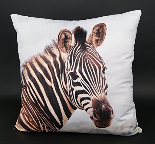 heimtexland Design Typ324 Kissenhülle 40x40 Hirsch mit Herz Velour