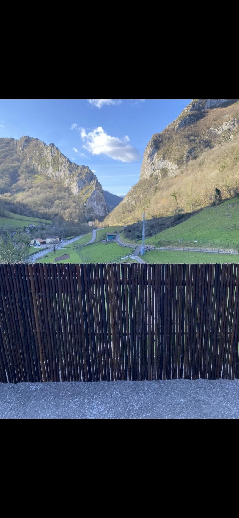 Sol Royal B23 Bambus Sichtschutzzaun 150x250 cm dunkelbraun witterungsbeständig