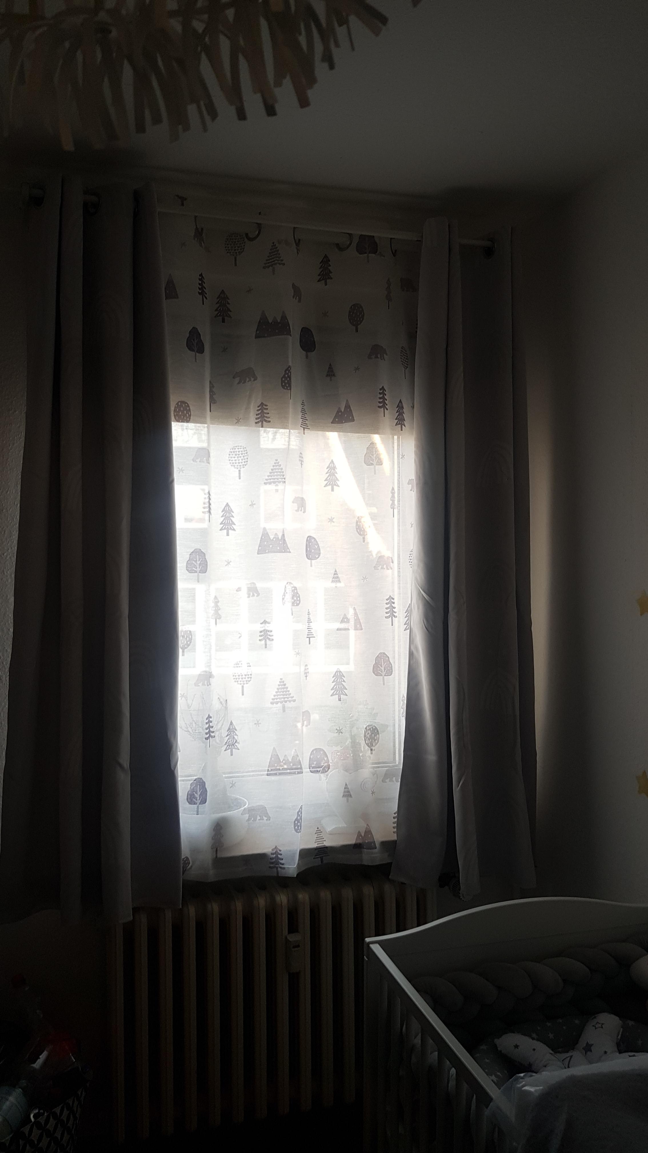 heimtexland Typ563 Ösenschal 245x135 cm weiß-grau Bär