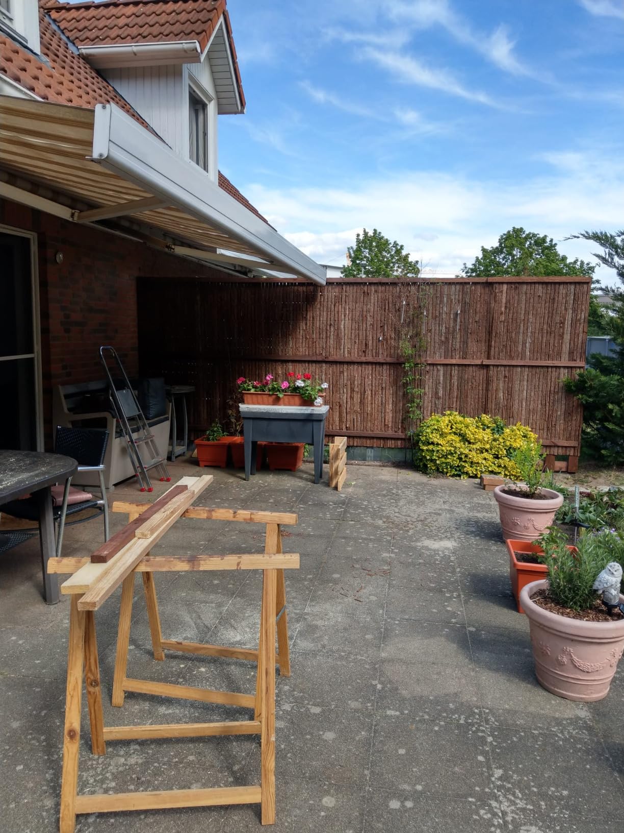 Sol Royal SolVision R63 Rindenmatte 100x300 cm blickdicht