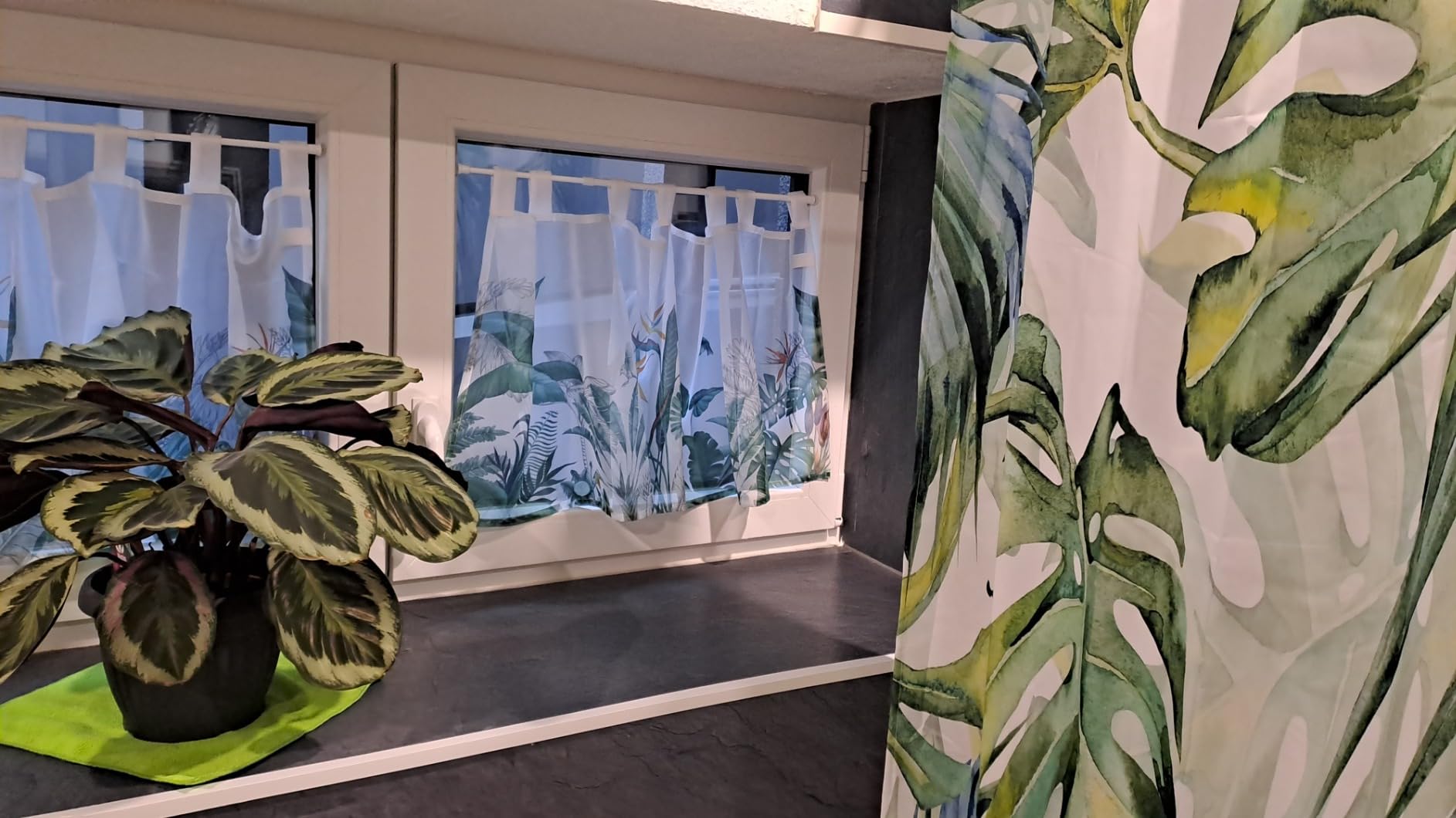 heimtexland Typ789 Scheibengardine 45x120 cm Tropical Bunt