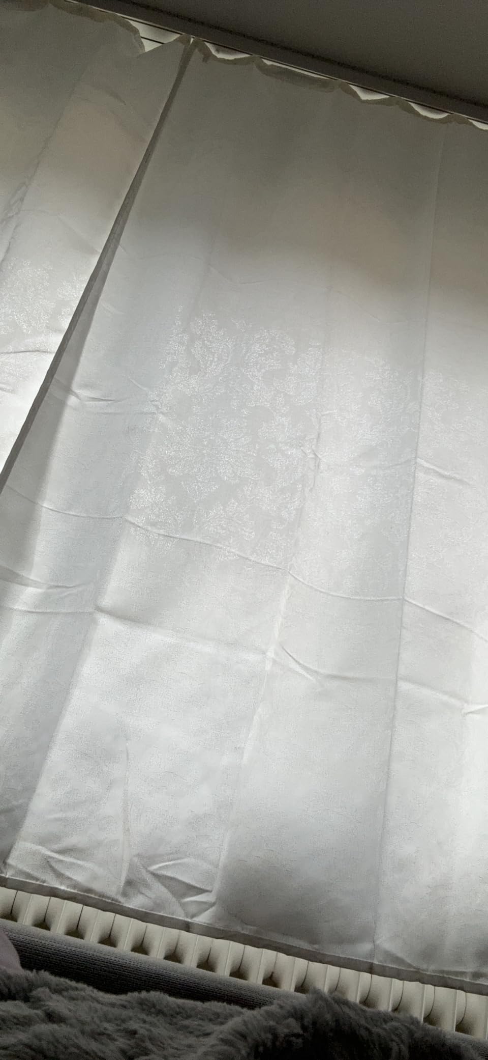 heimtexland Typ139 Gardine blickdicht 245x275 cm Dunkelblau