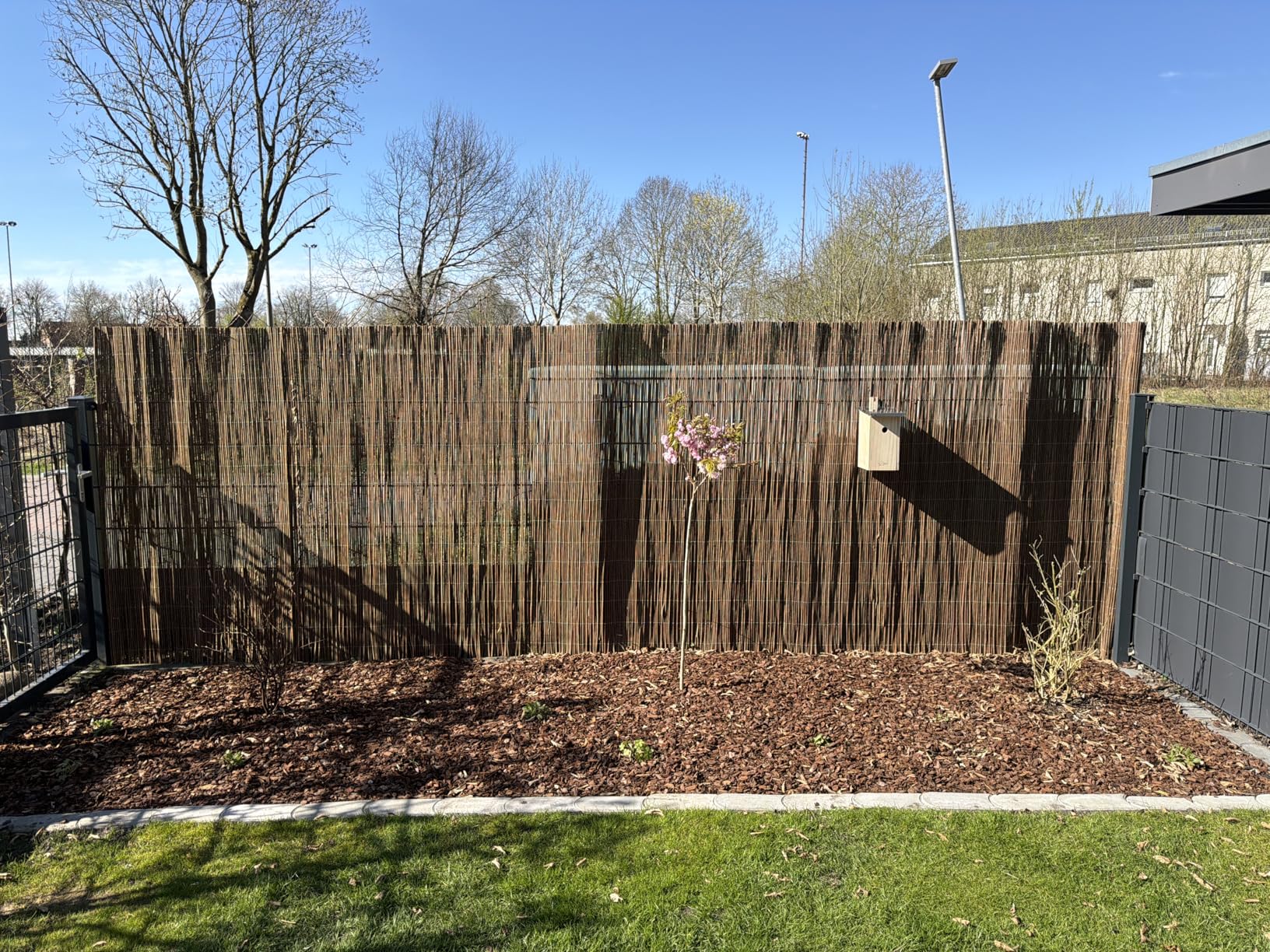 Sol Royal SolVision R63 Rindenmatte 100x300 cm blickdicht