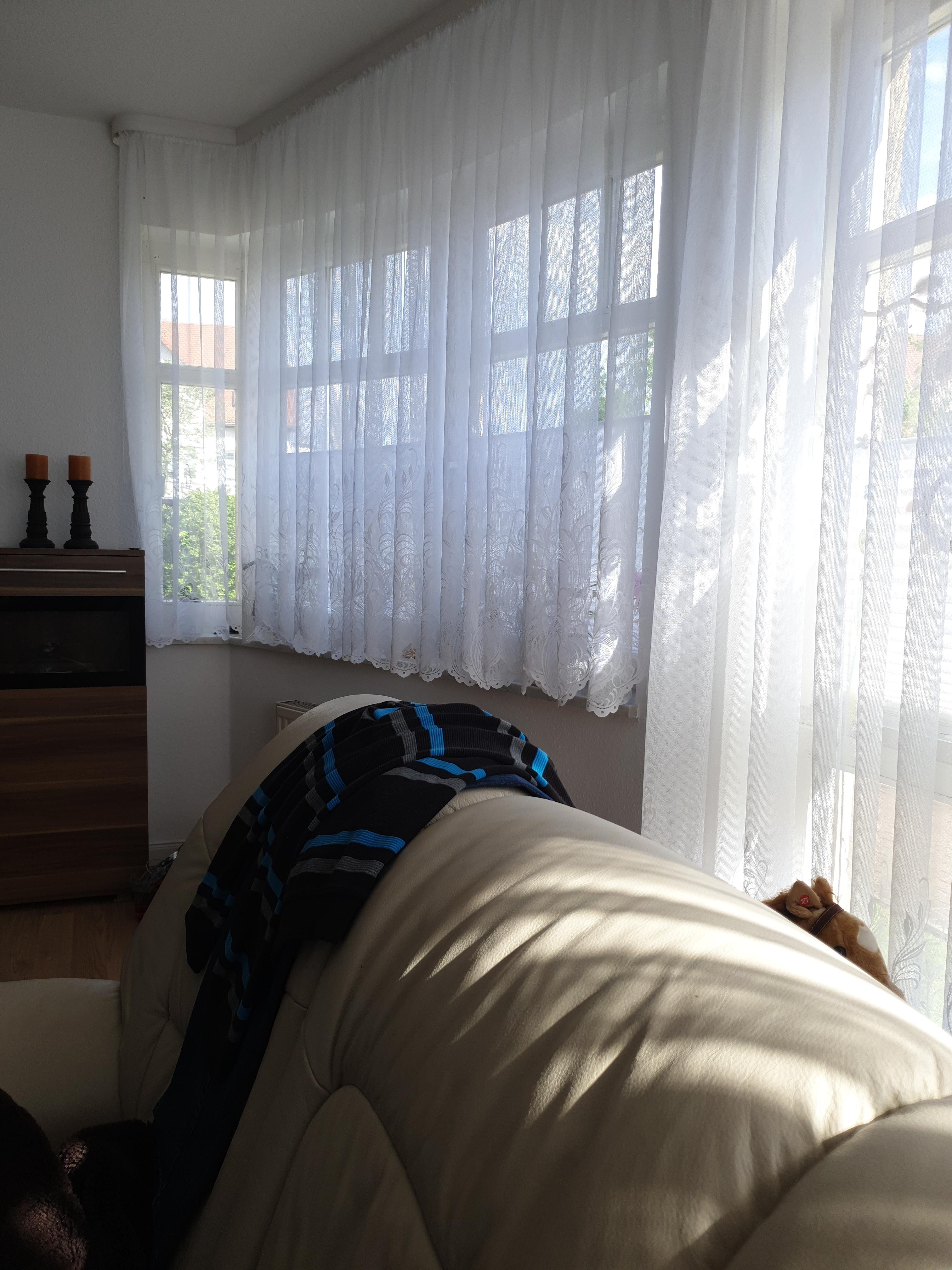 heimtexland Jacquardstore Gardine 100x450 weiß transparent