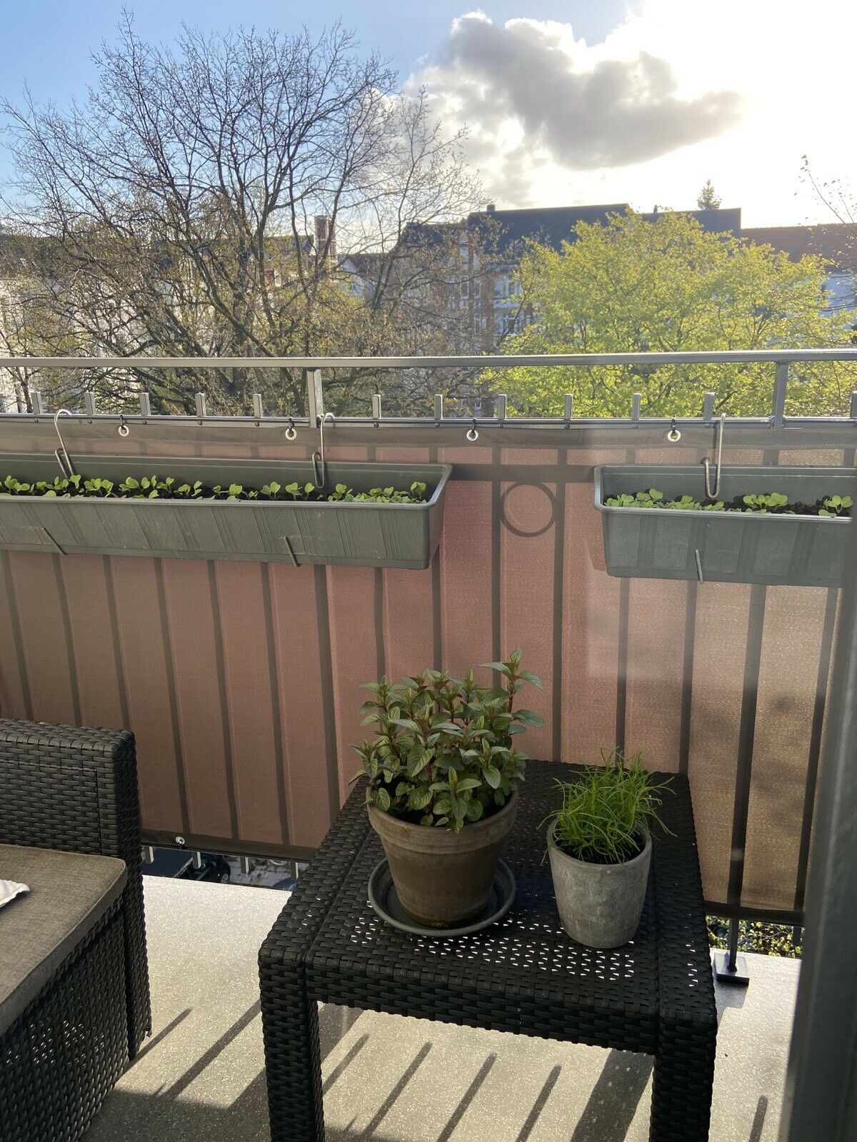 Sol Royal SolVision PB2 Balkonsichtschutz 90x600 Grau