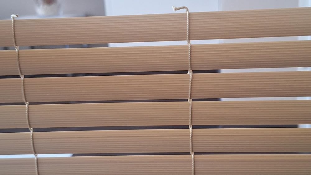 Sol Royal Sichtschutzmatte PVC mit Clips wetterfest