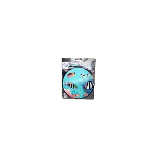 HAB & GUT AG001 Dekobild Fische 24cm 3D Bullauge