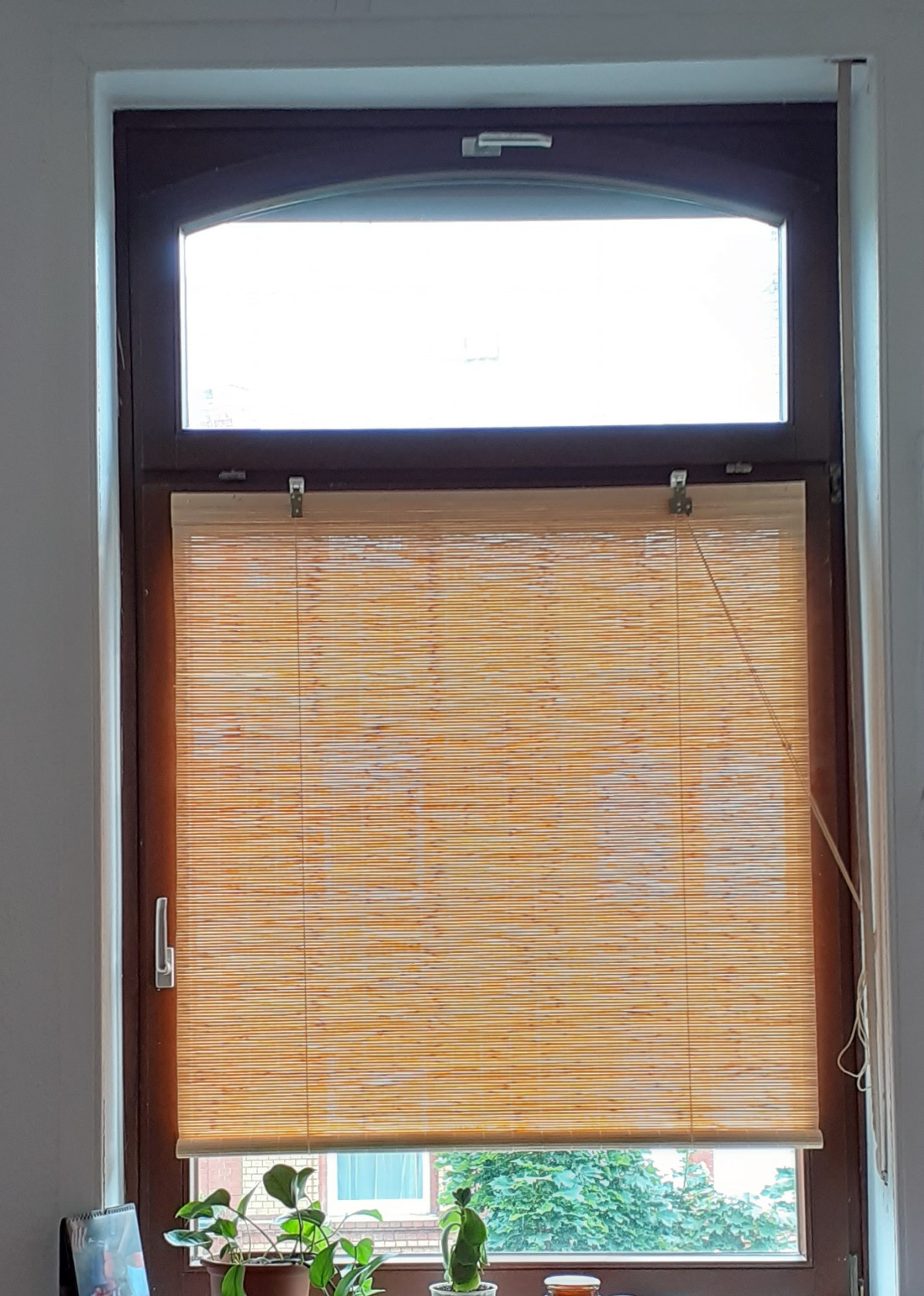 Sol Royal SolDecor B86 Bambusrollo 100x160 Natur blickdicht