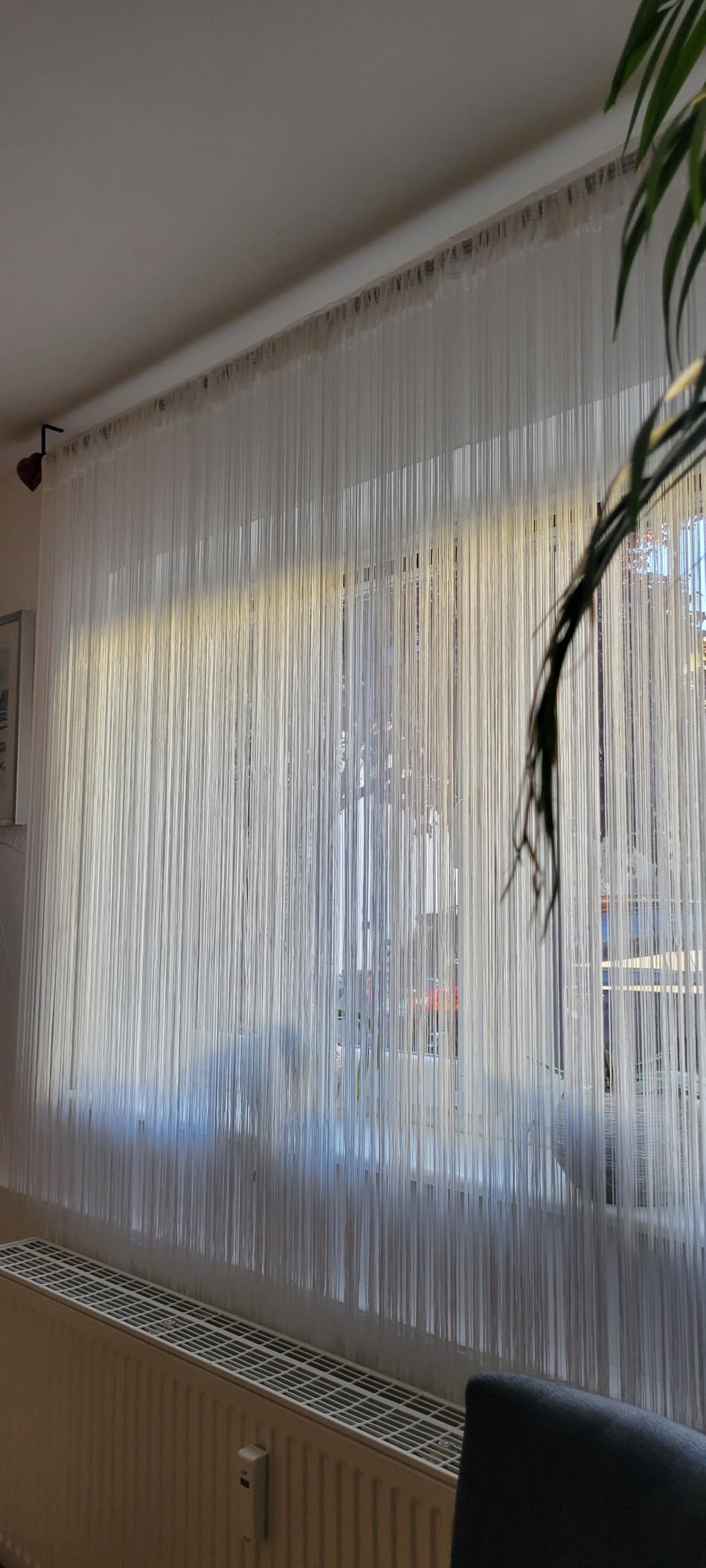 heimtexland Typ121 Fadengardine 245x95 Champagner kürzbar