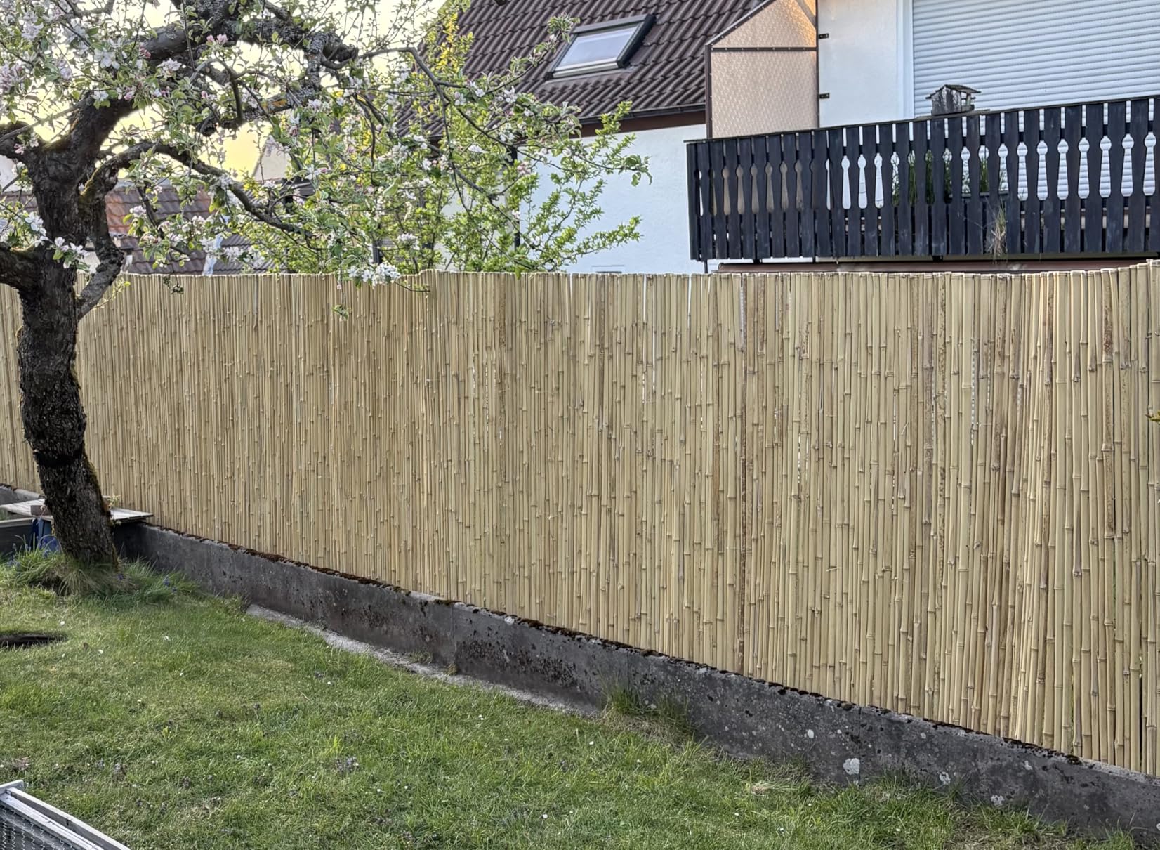 Sol Royal B99 Bambus Sichtschutz 100x250 hell natur
