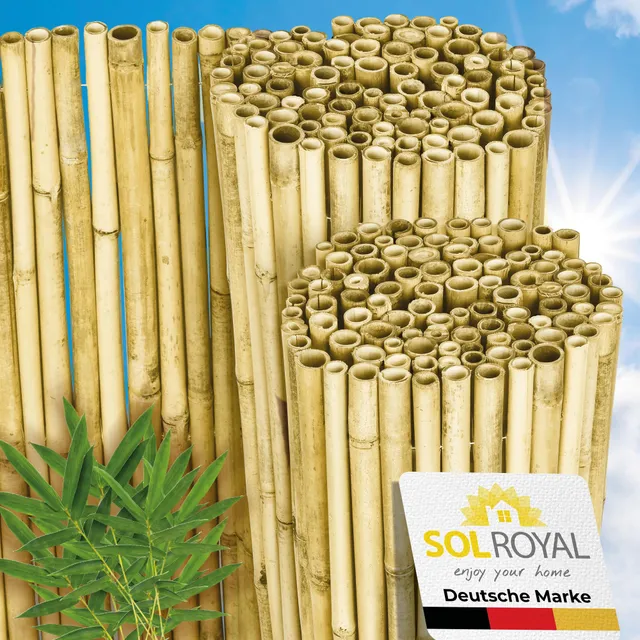 Sol Royal B99 Bambus Sichtschutz 100x250 hell natur