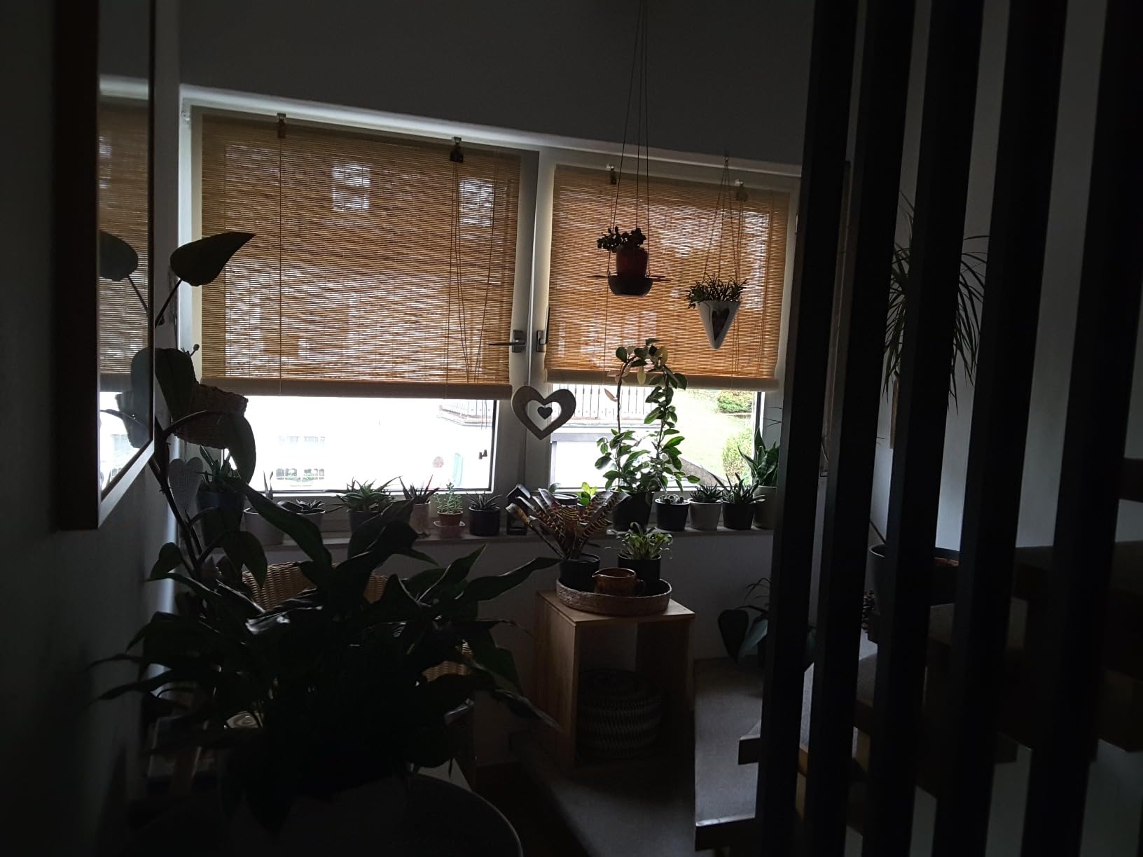 Sol Royal SolDecor B86 Bambusrollo 100x160 Natur blickdicht