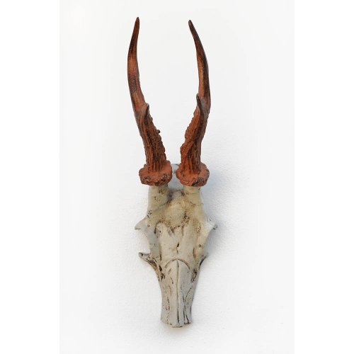 HAB & GUT DH009 Garderobenhaken Hirschgeweih Gusseisen
