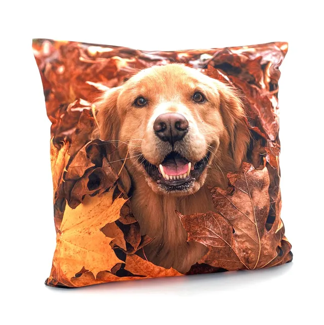 heimtexland Typ831 Kissenbezug Velours Retriever 40x40 Winter