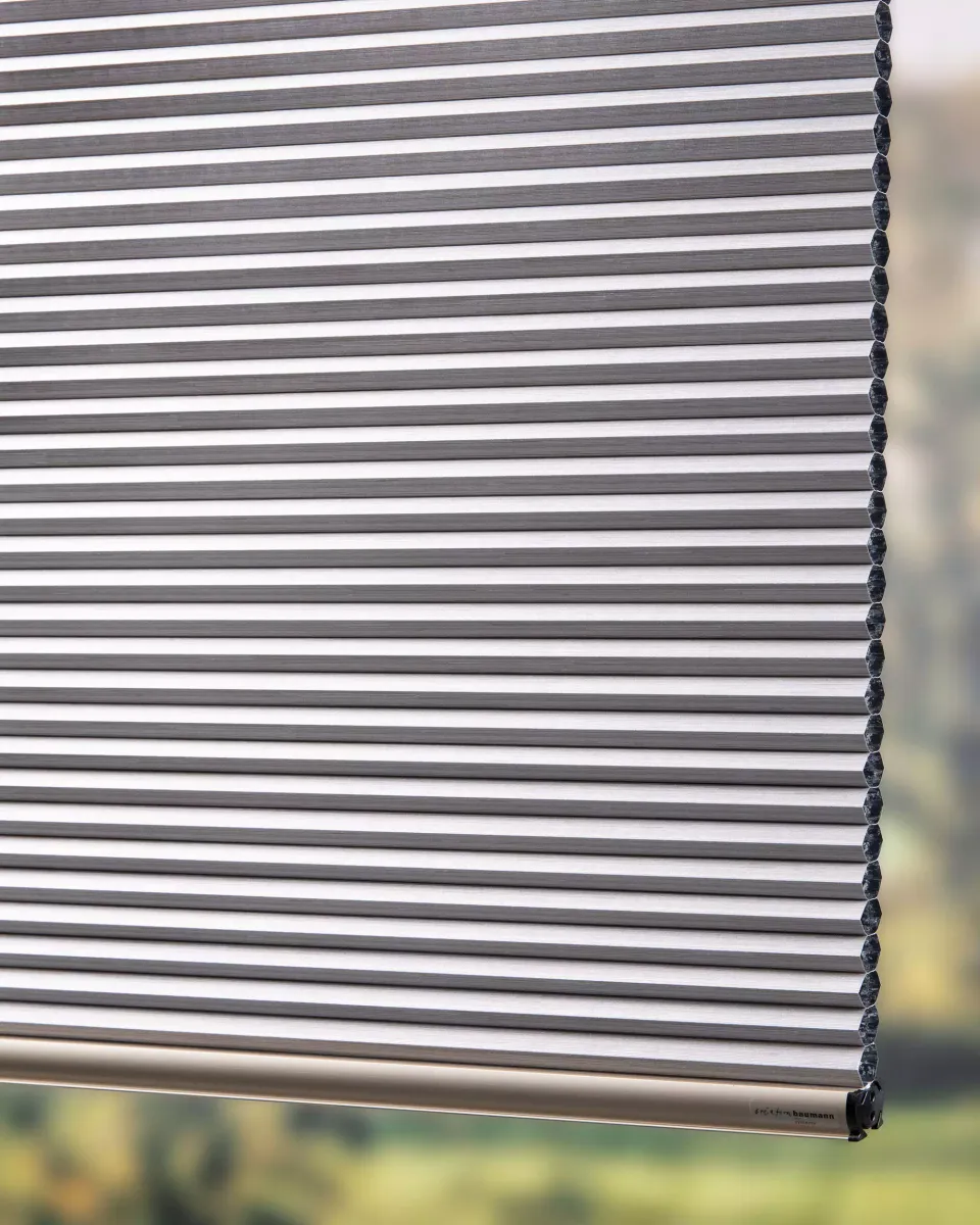 Création Baumann Zensar BO Wabenplisseestoff verdunkelnd