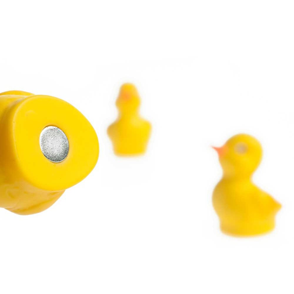 HAB & GUT MC041 Enten Kühlschrankmagnete 3er Gelb