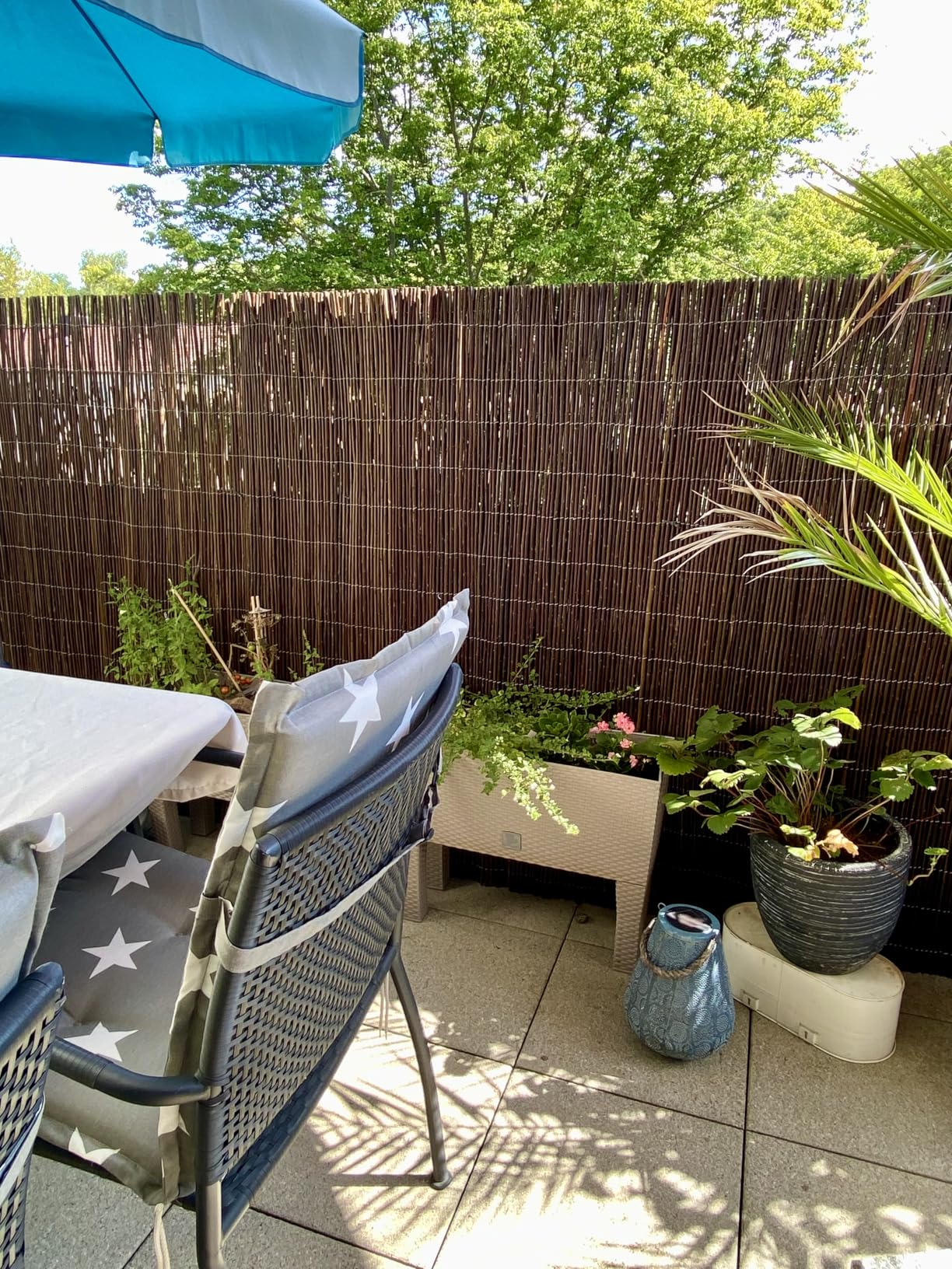Sol Royal W79 Weidenmatte 300x90 cm Naturweide