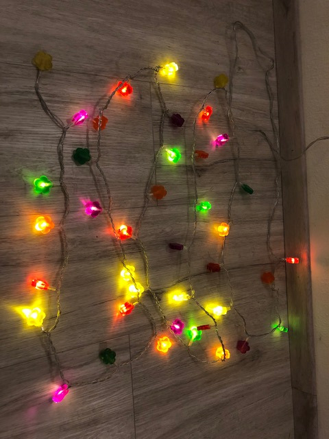 HAB & GUT L006-R Lichterkette Herzen Rot 5 m