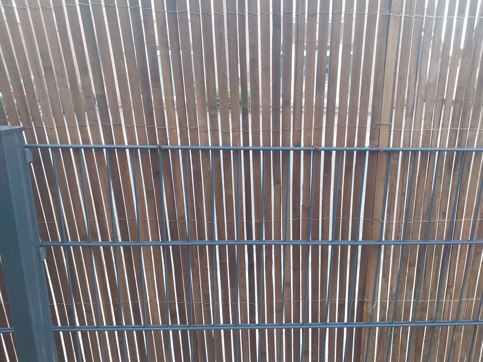 Sol Royal SolVision B89 Bambusmatte 160x600 Natur Sichtschutz
