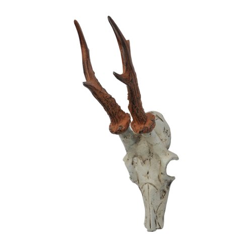 HAB & GUT DH009 Garderobenhaken Hirschgeweih Gusseisen