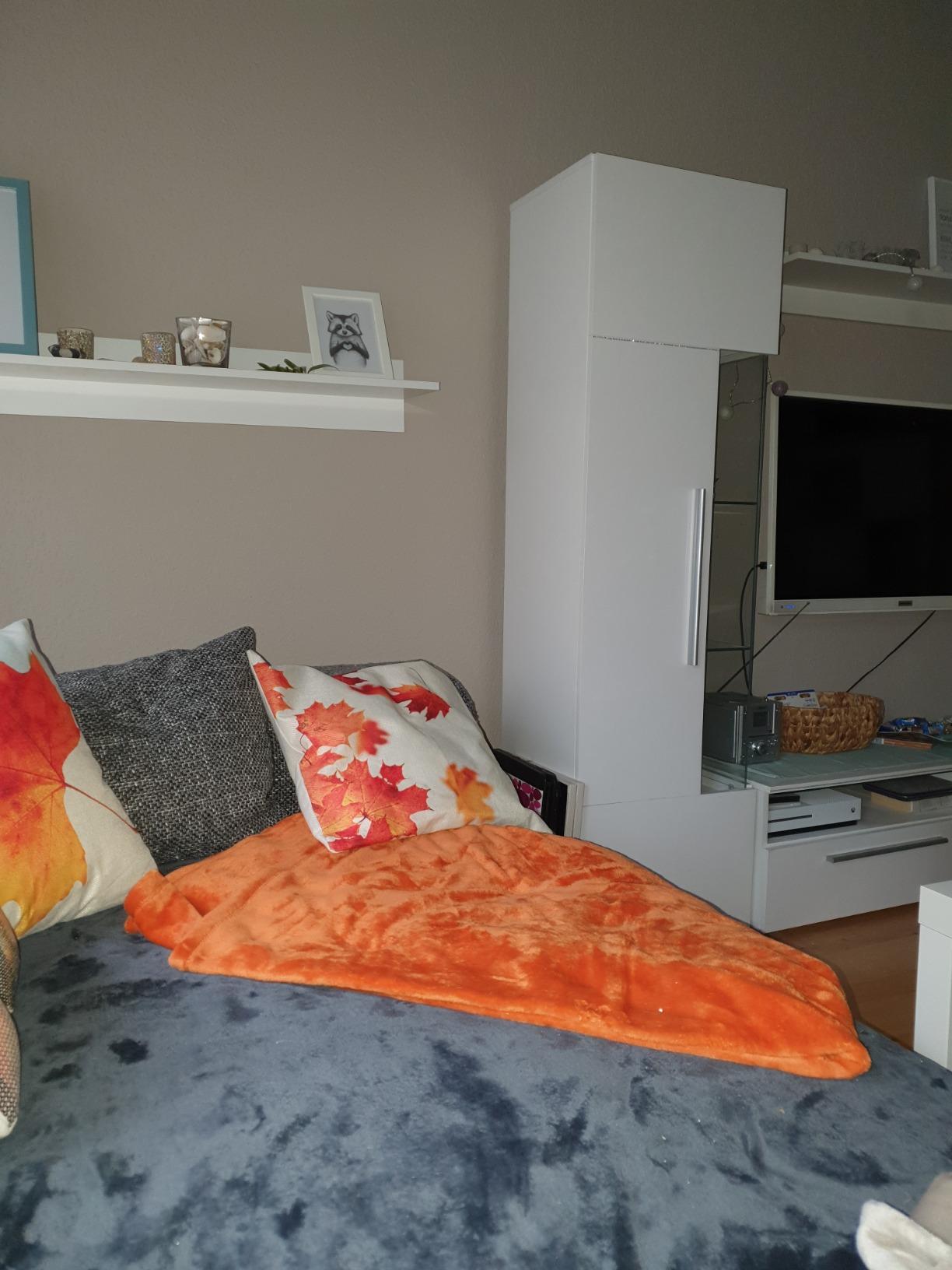 heimtexland Typ176 Kuscheldecke 150x200 creme Flanell