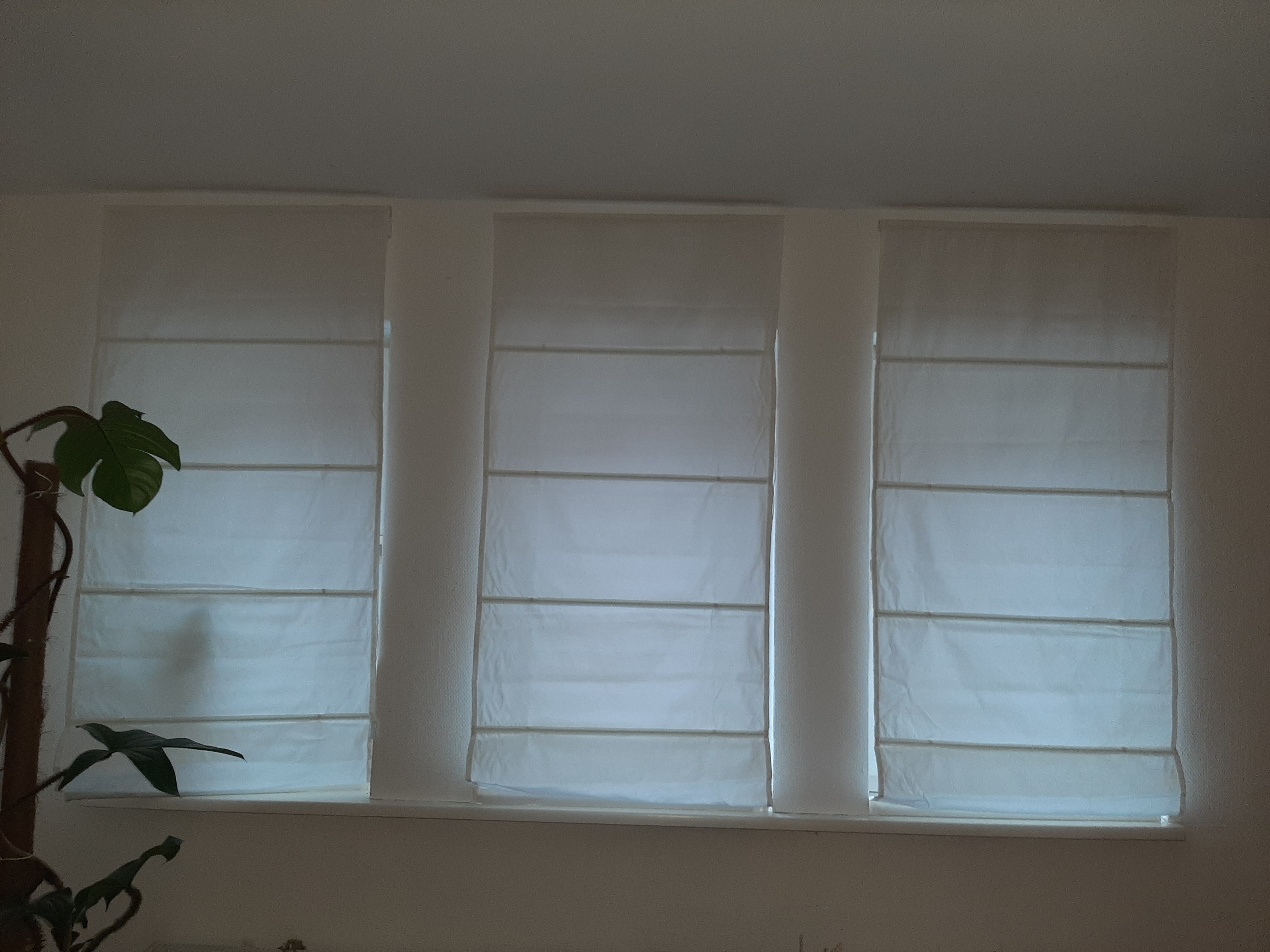 Sol Royal RA3 Raffrollo 100x240 cm Grau blickdicht