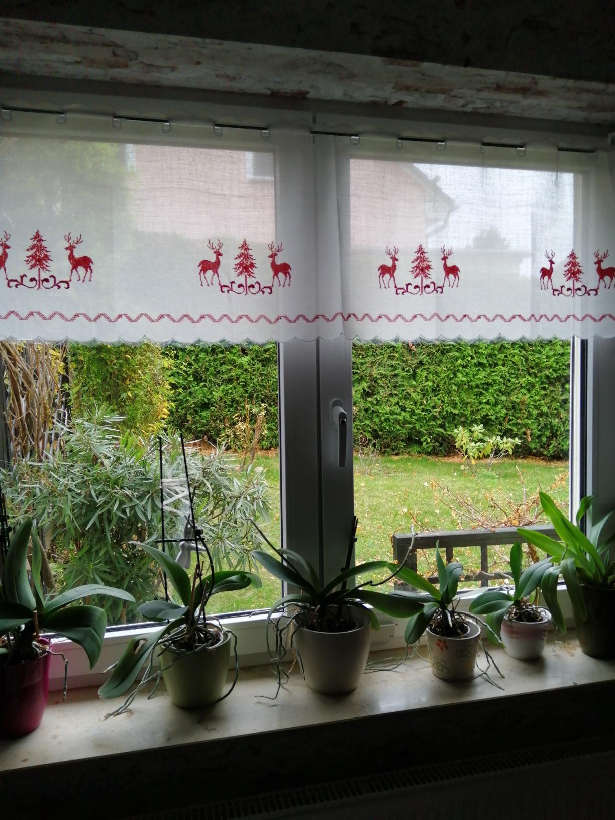heimtexland Country Chic Typ506 Scheibengardine rot 45x155 blickdicht