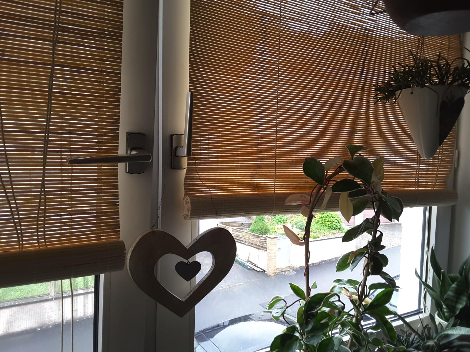 Sol Royal SolDecor B86 Bambusrollo 100x160 Natur blickdicht