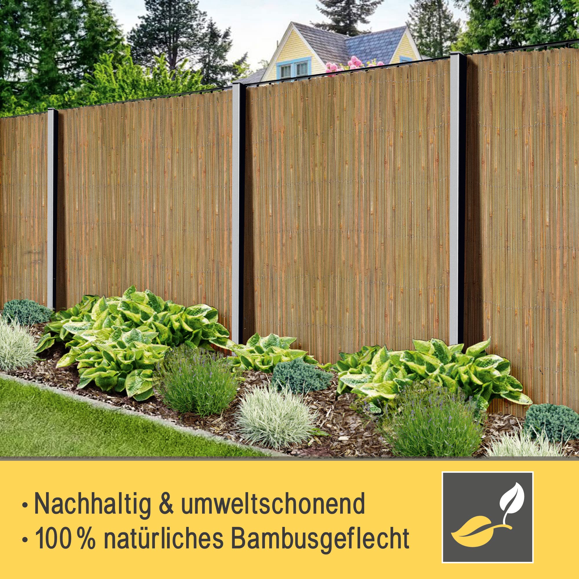 Sol Royal SolVision B89 Bambusmatte 160x600 Natur Sichtschutz
