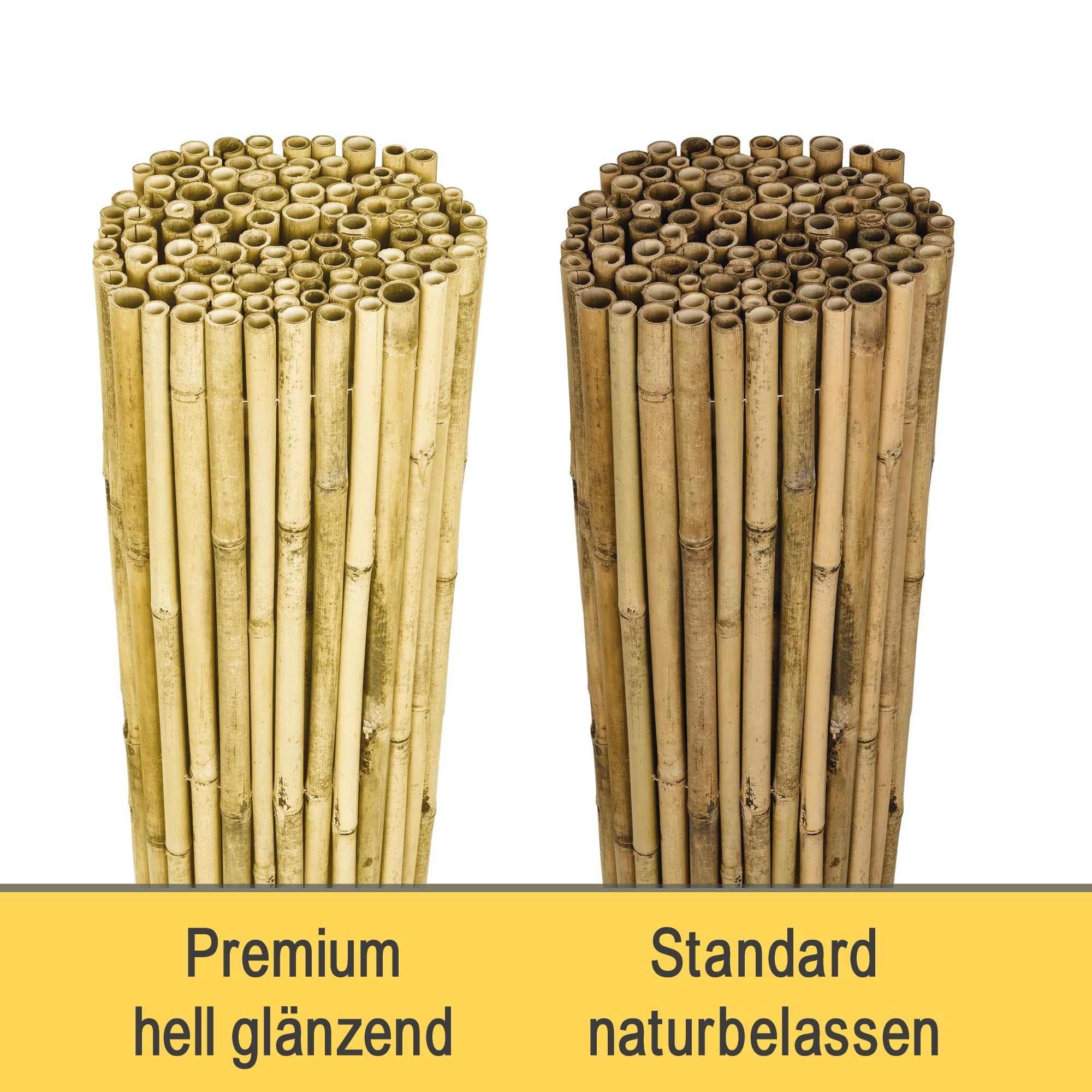 Sol Royal B99 Bambus Sichtschutz 100x250 hell natur