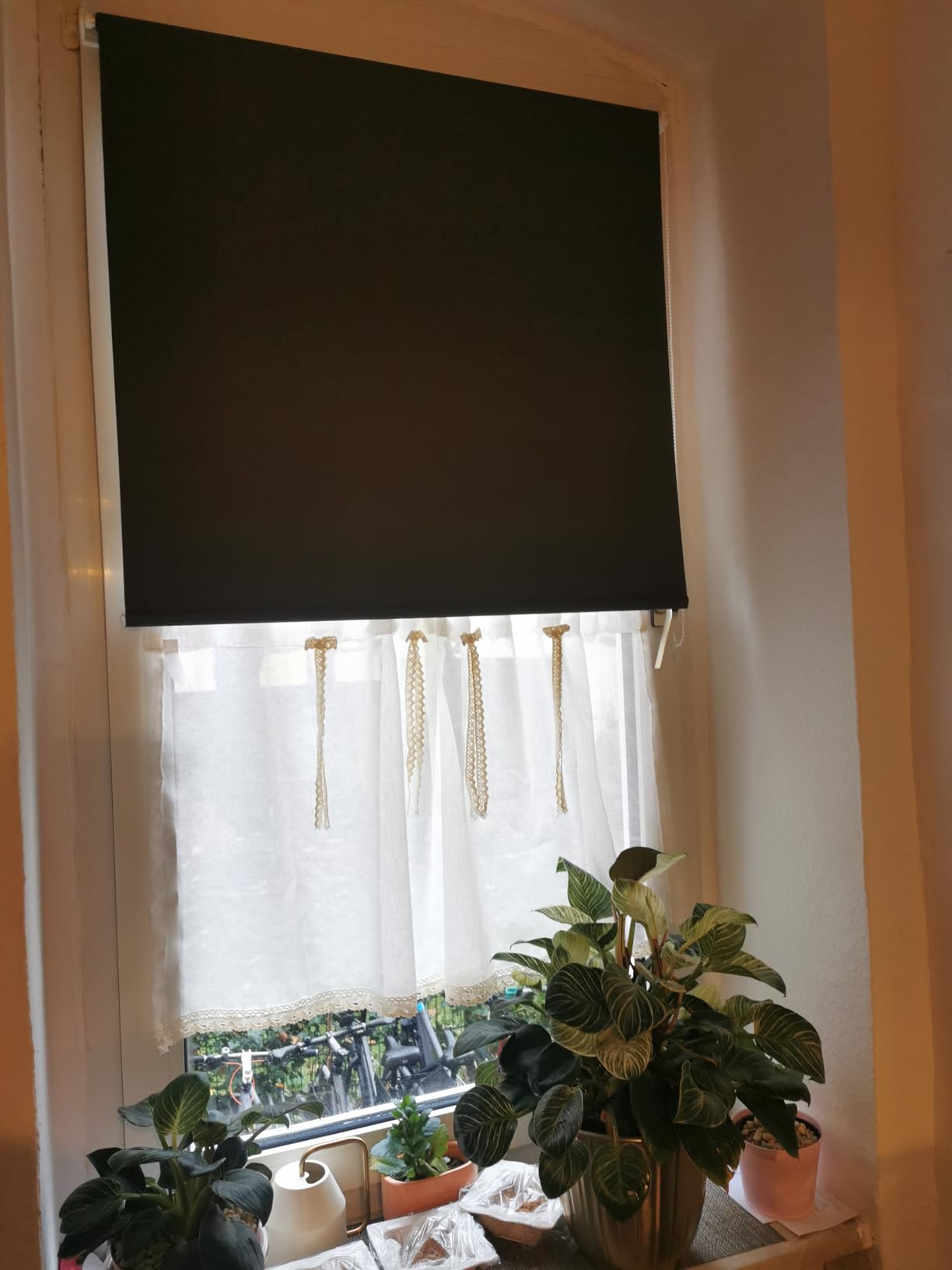 Sol Royal SolReflect T42 Thermorollo ohne Bohren verdunkelnd