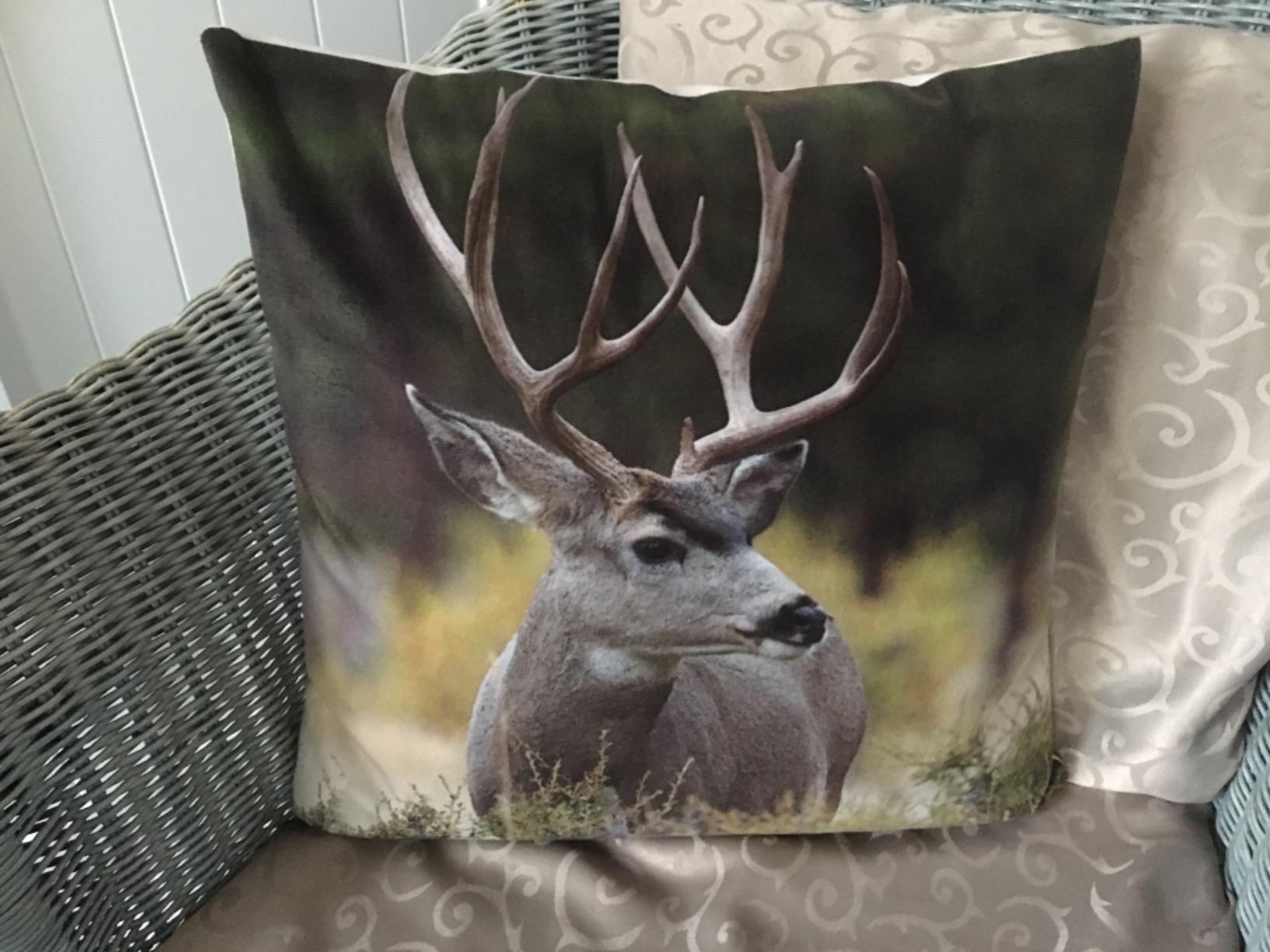 heimtexland Design Typ324 Kissenhülle 40x40 Hirsch mit Herz Velour