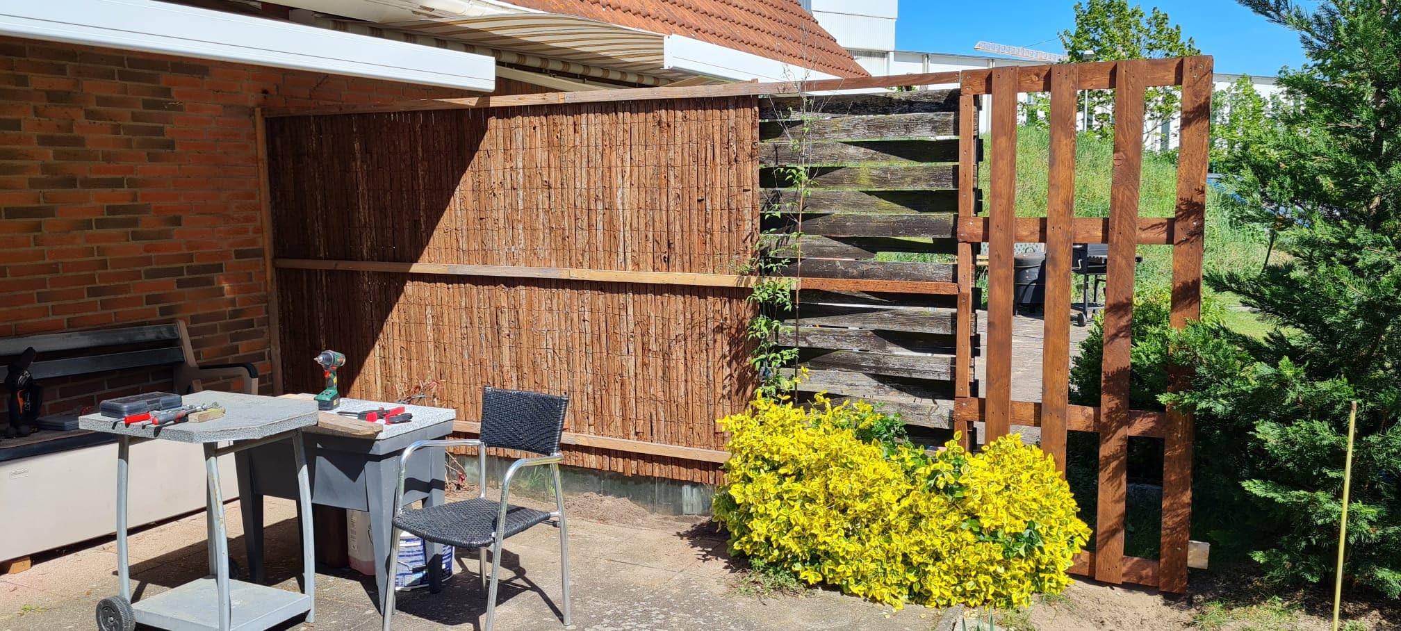 Sol Royal SolVision R63 Rindenmatte 100x300 cm blickdicht
