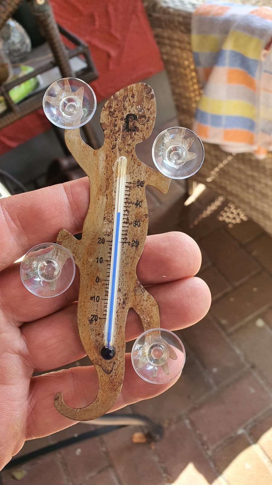 HAB&GUT Gecko Fensterthermometer Schwarz 14 cm