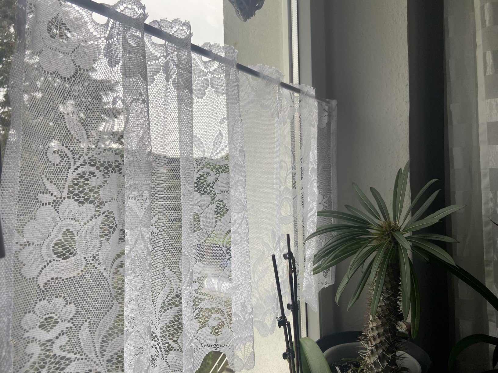 heimtexland Typ10 Scheibengardine 42x95 cm Weiß Jacquard